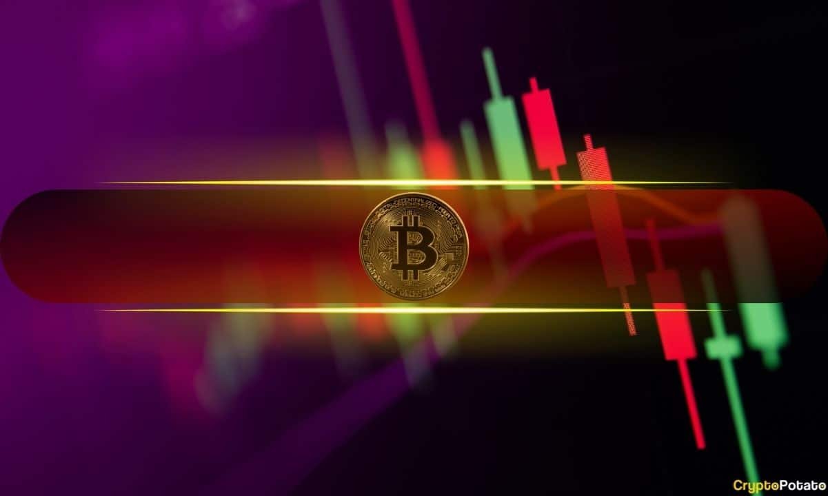 Bitcoin Crashes to $73,000 While Stellar (XLM) Defies Downturn With a 19% Surge: Market Watch