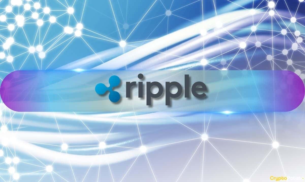 Massive XRP Network Surge Followed Price Rally to 2-Month Peak