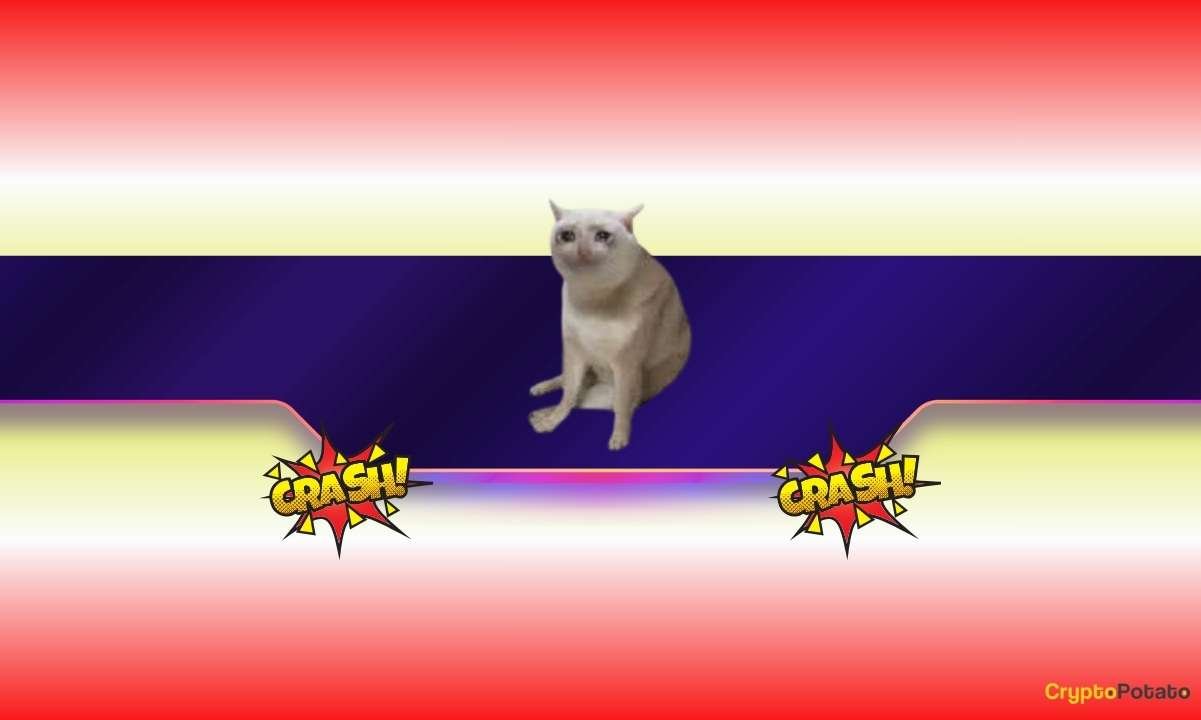 CASHCAT Plummets 65% in a Week: The Doom of Another Meme Coin or New Pump Loading?